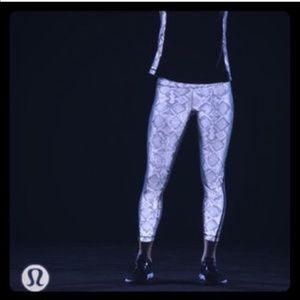 Pace Tight SE Kill The Lights reflective 4